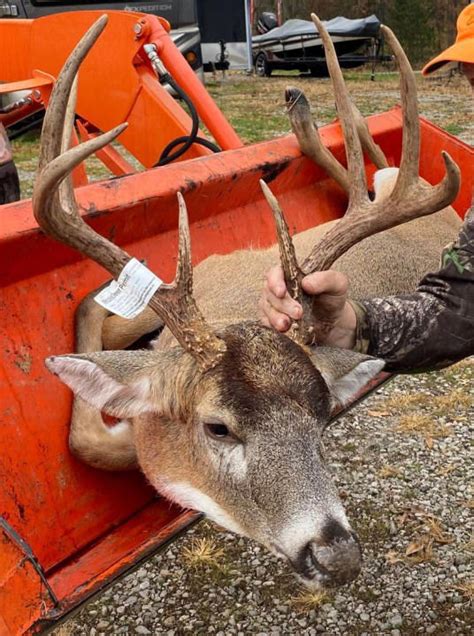 Illinois hunters harvest over 76K deer in firearms season; decease from 2022